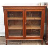 A LATE 19TH / EARLY 20TH CENTURY PANELLED GLASS BOOKCASE, standing on spade feet, 92cm x 101cm x