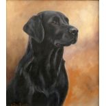 JOHN TRICKETT A black Labrador, oil on canvas, 39cm x 45cm and mounted in a burr walnut frame