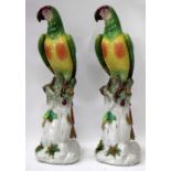 TWO SIMILAR CONTINENTAL PORCELAIN PARROTS in naturalistic moulded stump bases, with underglazed blue
