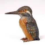 A LATE 19TH / EARLY 20TH CENTURY COLD PAINTED BRONZE MODEL of a kingfisher, unmarked approximately