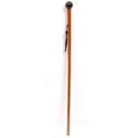 A 19TH CENTURY MALACCA WALKING CANE with tortoiseshell pommel top, 88cm high