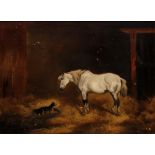 JOHN ALFRED WHEELER (1821 - 1903) White horse and a dog in a stable, oil on canvas, signed lower