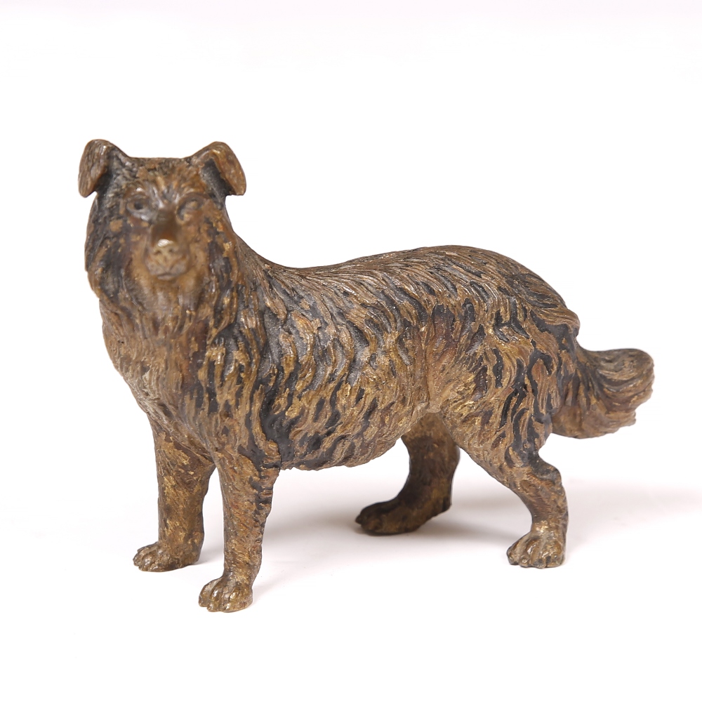 AN EARLY 20TH CENTURY COLD PAINTED BRONZE MODEL of a dog, unmarked approximately 7cm high