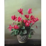 MARY BROWN (20TH CENTURY) Still life of cyclamen in a bowl, signed, oil on canvas, 50 x 39.5cm;