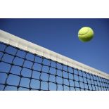 FOUR TICKETS FOR AEGON TENNIS CHAMPIONSHIPS AT QUEENS