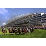 A CHANCE TO ENJOY A DAYS RACING IN A BOX AT ASCOT