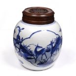 A Chinese blue and white porcelain ovoid ginger jar Kangxi (1662-1722) having reserve panels with