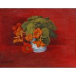 Colleen Farr (Contemporary) Nasturtiums on a red ground signed (lower left) oils on board 28cm x