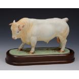 A ROYAL WORCESTER MODEL of a Charolais Bull by Doris Lindner 1968 numbered 526, 27cm lg on wooden