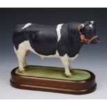 A ROYAL WORCESTER MODEL of a British Fresian Bull by Doris Lindner 1964 numbered 244, 23.5cm lg on