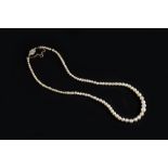 A COLLECTION OF JEWELLERY, comprising a graduated single strand pearl necklace, with rose-cut