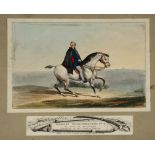 SPOONERS PROTEAN VIEWS - eight coloured prints including 'The Duke of Wellington' by W Spooner 377