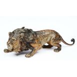 FRANZ BERGMAN (AUSTRIAN 1861-1936) Bronze cold painted sculpture of a prowling lion, signed with the