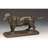 A BRONZE FIGURE OF A BASSET HOUND, the rounded rectangular plinth base stamped 'Barye', 16cm high