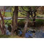 Harry Watson (1871-1936) Woodland, Summer oils on canvas on board 29cm x 39.5cm. Provenance: Harry