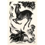 Agnes Miller Parker (1895-1980) Fawn signed in pencil woodcut 12.5cm x 7.5cm.