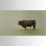 John Wilder (*ARR), 20th century, Bull, watercolour, signed with monogram,