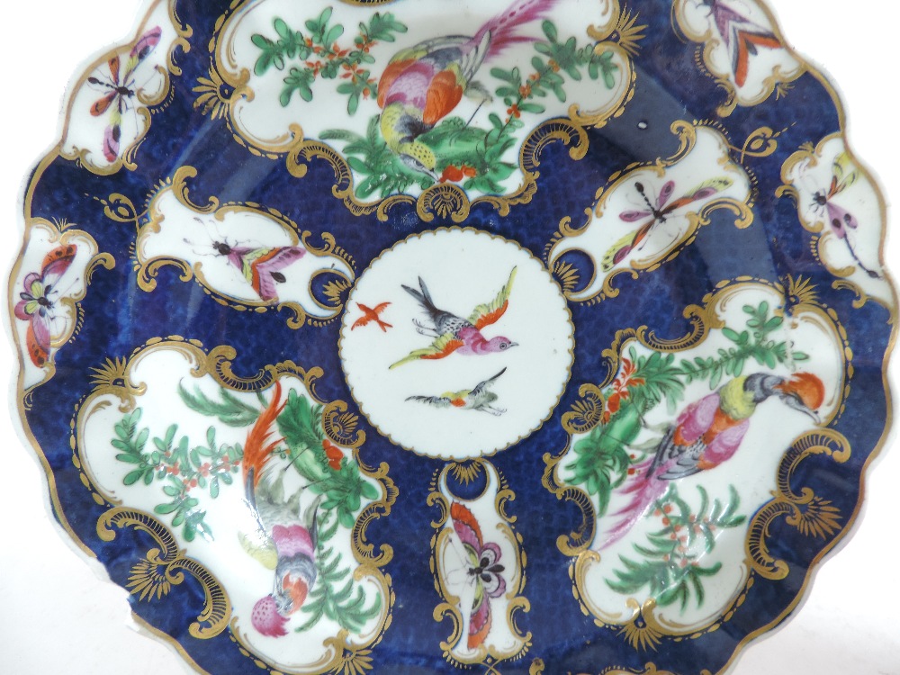 An 18th century Worcester porcelain cabinet plate, reserved with panels of exotic birds, - Bild 6 aus 6