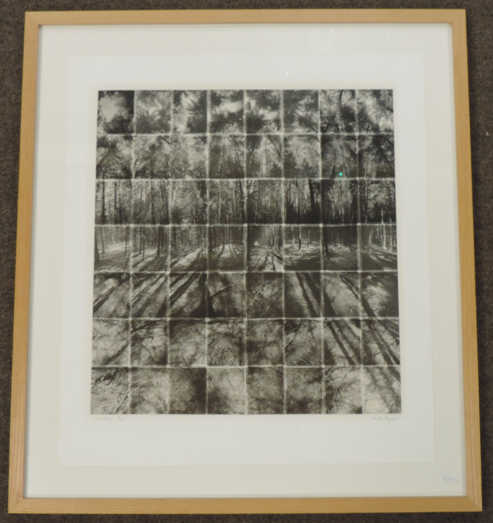 Noel Myles (*ARR), 20th century, Fir Forest, limited edition photographic print 22/75, - Image 2 of 7