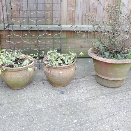 A pair of terracotta planters, 28cm tall, together with a terracotta pot and a tree,