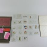 A collection of hand painted glass slides, mainly Beatrix Potter subjects,