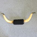A pair of cow horns,