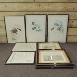 A set of three hunting prints, together with three botanical prints,