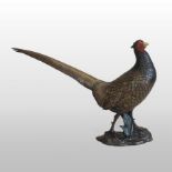 A large bronze model of a pheasant, shown standing, with a painted face, on a naturalistic base,