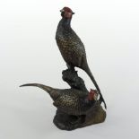 A bronze group of two pheasants, on a naturalistic base,