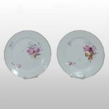 A pair of Chamberlains Worcester porcelain plates, circa 1840,