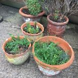 A collection of five various terracotta garden pots,