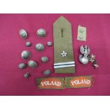 Small Selection of Polish Badges