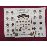 Good Selection of Hampshire Regiment Buttons