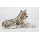 A Royal Copenhagen porcelain figure, Lioness at rest, model number 804, 12in. (30.5cm.) long.