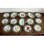 A collection of 19th century Davenport botanical porcelain, painted with botanical subjects within