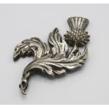 A Scottish silver thistle plate or brooch, marked D. & G. Moey and Co. to reverse, early 20th