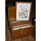 A set of twelve 18th century style botanical prints, early 20th century, 13 x 9in. (33 x 23cm.),