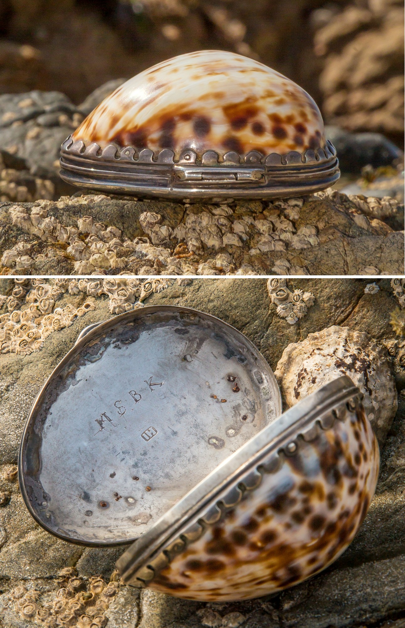 An extremely rare 18th century Channel Islands silver mounted cowrie snuff box, maker's mark IH
