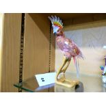 A Swarovski crystal cockatoo, pink on wooden stand.