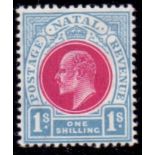 SOUTH AFRICA STAMPS : Natal 1904 1/- Carmine and Pale Blue.