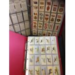 CIGARETTE CARDS : Two albums with an accumulation of Will's and Players cards, part and full sets.