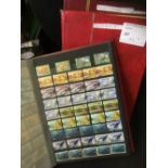 AUSTRALIA STAMPS : Three stock books of used issues, much duplication and mainly modern period.
