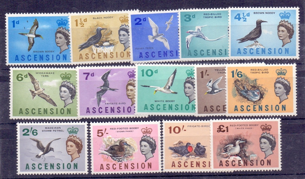 STAMPS : BRITISH COMMONWEALTH, 1963 Ascension Birds set U/M, - Image 2 of 2