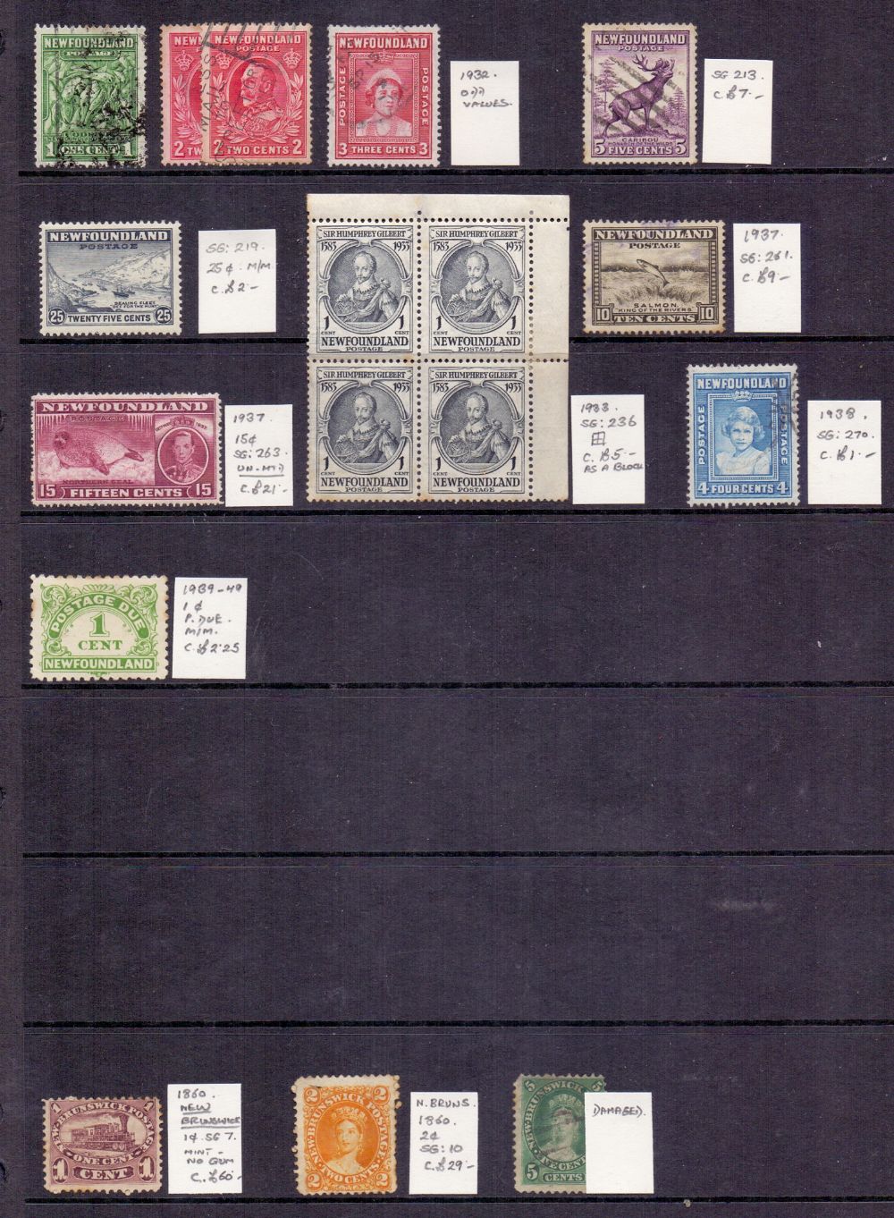 NEWFOUNDLAND STAMPS : Accumulation on two stock pages with a range of mostly used issues. - Image 2 of 2