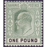 BAHAMAS STAMPS : 1902 £1 Green and Black,