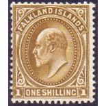 Falklands Stamps : 1904 1/- Brown,