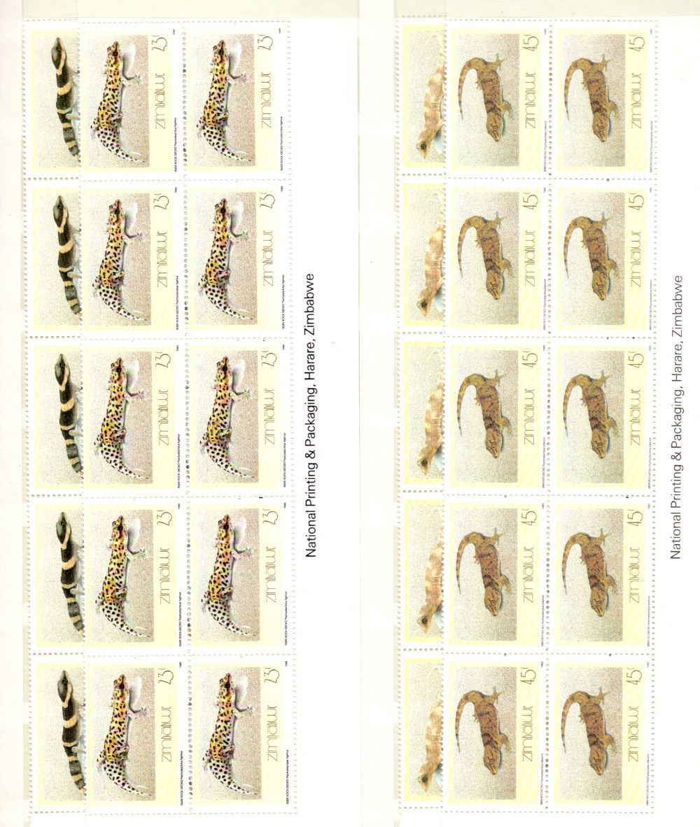 STAMPS : Zimbabwe unmounted mint issues in stockbook,