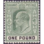 STAMPS : BAHAMAS 1902 lightly mounted mint set to £1 SG 62-70 (7)