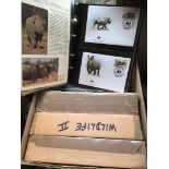 STAMPS World Wildlife collection in 4 special albums plus additional leaves and stamps.