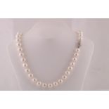 South Sea Graduated Pearl Necklace of Good Colour and Hue with Diamond Decorated Platinum Clasp